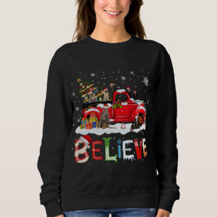 Camiseta Árvore de Natal de Caminhão Vermelho Acreditem San