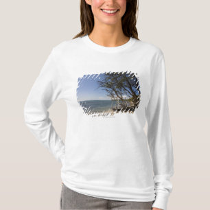 Camiseta Árvore em uma praia ao longo do litoral