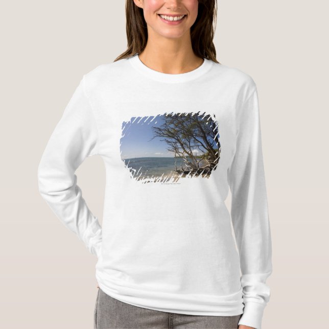 Camiseta Árvore em uma praia ao longo do litoral (Frente)
