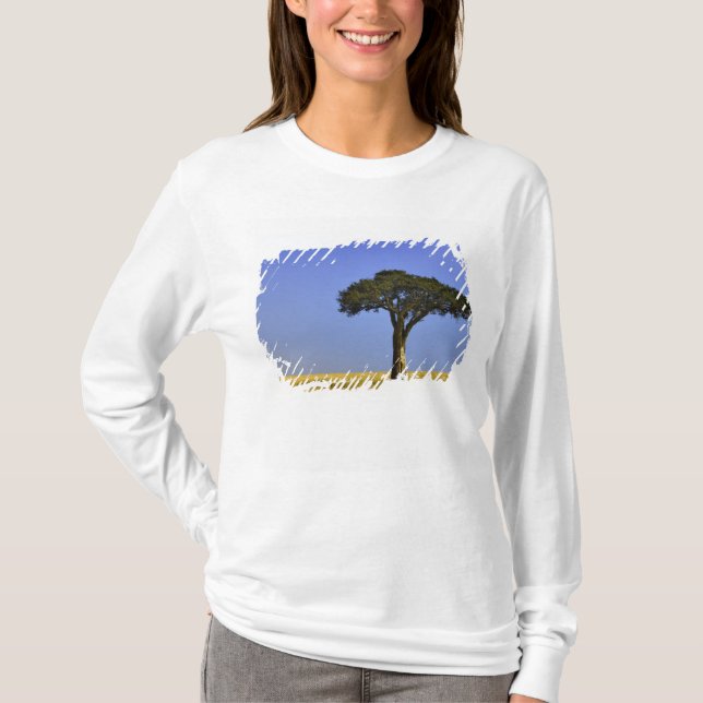 Camiseta Árvore única de Acácia nas planícies gramadas, Mas (Frente)