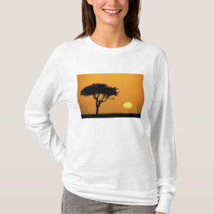 Camiseta Árvore única de Acácia silhuetada ao nascer do sol