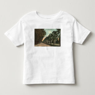 Camiseta Árvores da palma e de pimenta ao lado da avenida