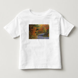 Camiseta Árvores de outono alinham-se à estrada no Parque E