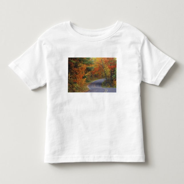 Camiseta Árvores de outono alinham-se à estrada no Parque E (Frente)