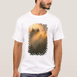 Camiseta Árvores de sequóia no nevoeiro costeiro, Condado d