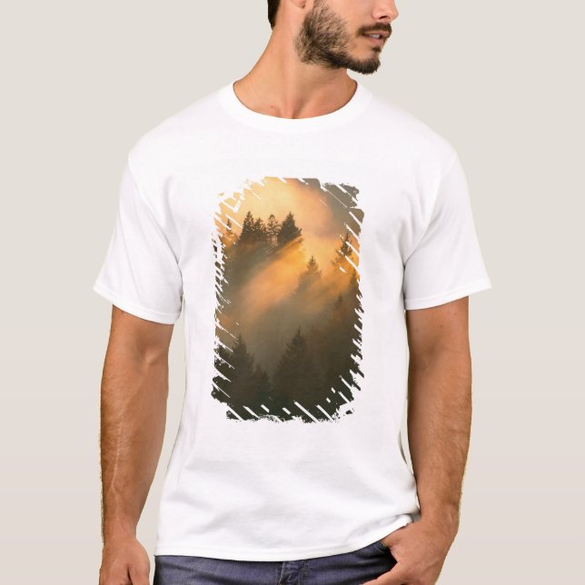 Camiseta Árvores de sequóia no nevoeiro costeiro, Condado d (Frente)