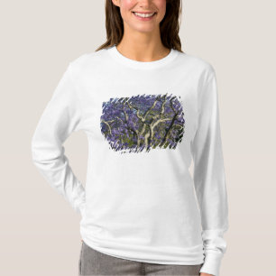 Camiseta Árvores Jacaranda em Floração no Parque New Farm,