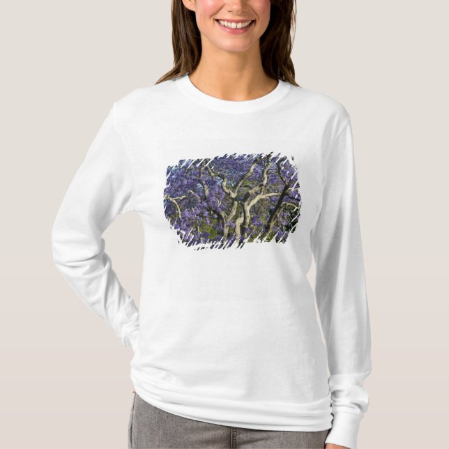 Camiseta Árvores Jacaranda em Floração no Parque New Farm,  (Frente)