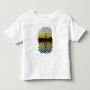 Camiseta Árvores mortas refletidas na Lagoa Lily Creek, ao 