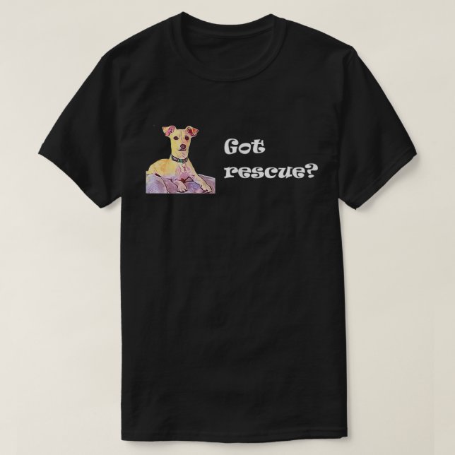 Camiseta As mulheres resgataram (Frente do Design)