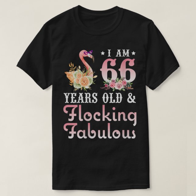 Camiseta As Mulheres Tenho 66 Anos De Idade E A Enfiar Uma  (Frente do Design)