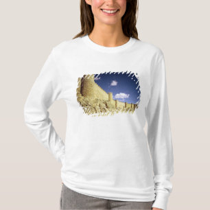 Camiseta As paredes da cidade