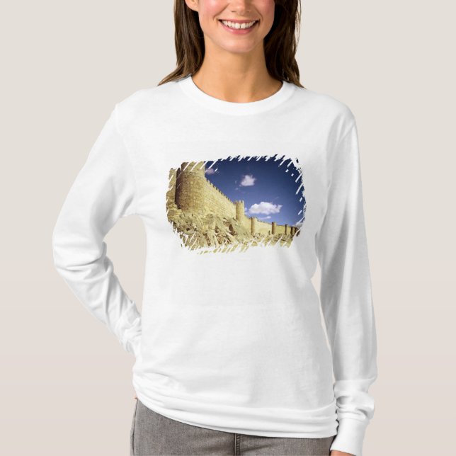 Camiseta As paredes da cidade (Frente)