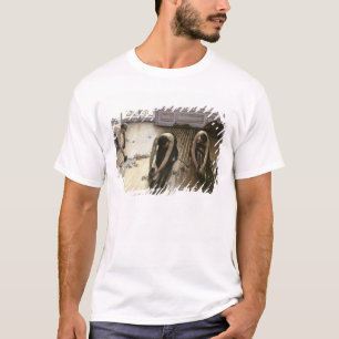 Camiseta As plainas do parquet, 1875