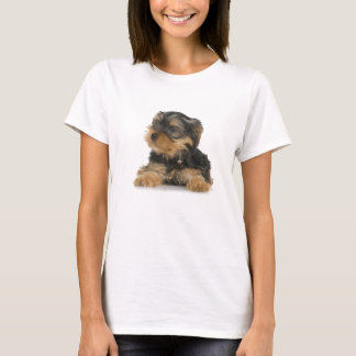 Camiseta As senhoras do yorkshire terrier couberam o
