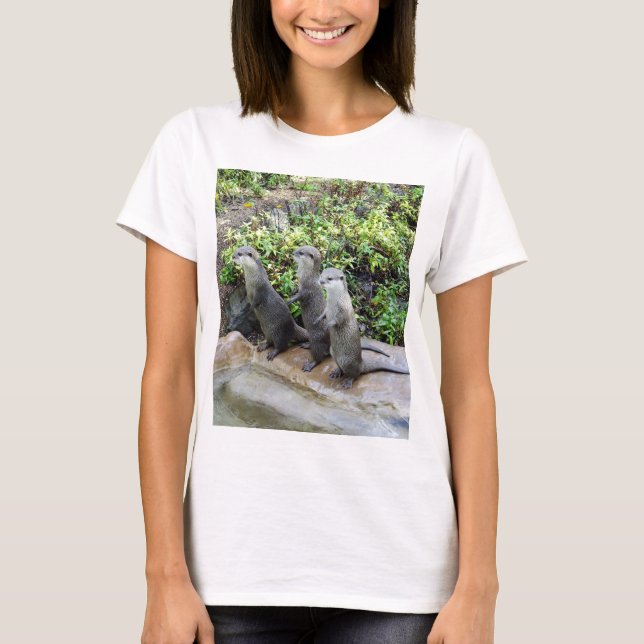 Camiseta As Três Lontras Sábias em Pé, (Frente)