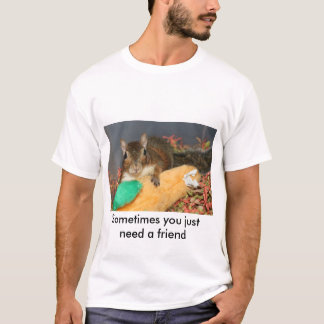 Camiseta Às vezes você apenas precisa um amigo