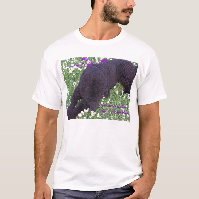 Camiseta Às vezes você hav… (Frente)