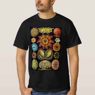 Camiseta Ascidiae por Ernst Haeckel, Animais Marinhos Vinta
