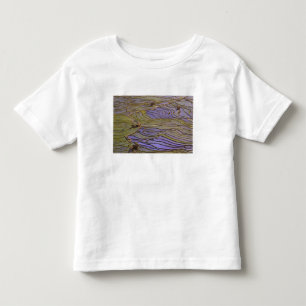 Camiseta Ásia, China, Província de Yunnan, Yuanyang. Inunda