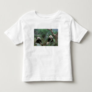 Camiseta Ásia, China, Santuário do Panda Gigante de Chengdu