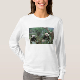 Camiseta Ásia, China, Santuário do Panda Gigante de Chengdu