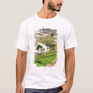Camiseta Ásia, China, Yunnan, Honghe.  Terraços de arroz pe