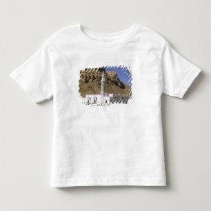 Camiseta Ásia, Iémen, Tarim. Mesquita branca.