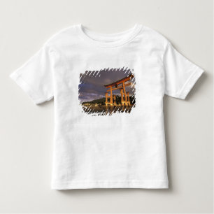 Camiseta Ásia, Japão, Honshu ocidental, Miya, ilha Jima,