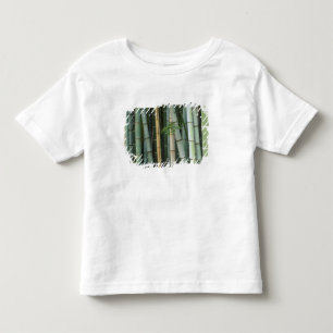 Camiseta Ásia, Japão, Quioto, Arashiyama, Sagano, Bamboo