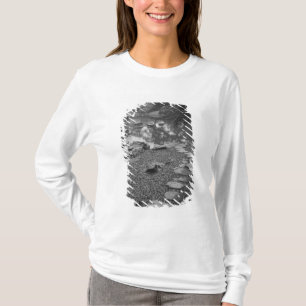Camiseta Ásia, Japão, Tóquio, Detalhes, Palácio Imperia