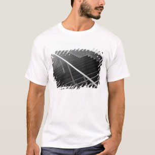 Camiseta Ásia, Japão, Tóquio. Escadas, Fórum Internacional 