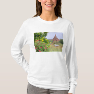 Camiseta Ásia, Mianmar (Birmânia), Bagan (Pagan). Vacas
