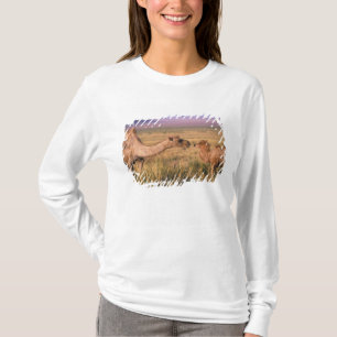 Camiseta Ásia, Mongólia, Deserto de Gobi, Grande Gobi