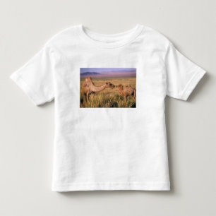 Camiseta Ásia, Mongólia, Deserto de Gobi, Grande Gobi