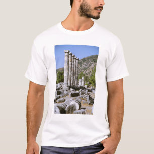Camiseta Ásia, Oriente Médio, Turquia, Éfeso. Templo de