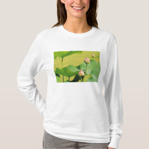 Camiseta Ásia, Tailândia, Banguecoque. Grande Palácio, lótu