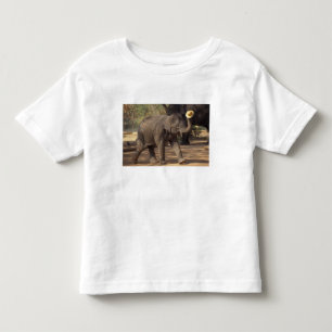 Camiseta Ásia, Tailândia, Lampang Curvando-se com chapéu - 