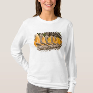 Camiseta Ásia, Tailândia, Sião, Budas em Ayutthaya