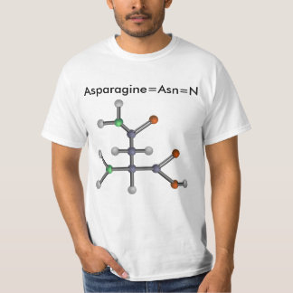 Camiseta Asparagina (ácido aminado)