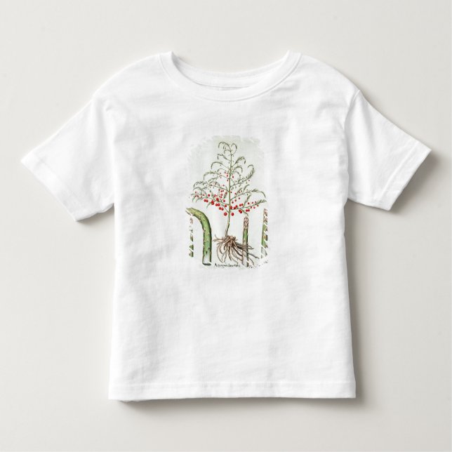 Camiseta Aspargo comum na flor e na fruta, do 'Ho (Frente)