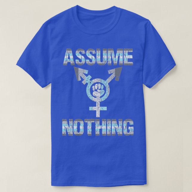 Camiseta ASSUME NOHING Demiboy Flag Bigender Pride (Frente do Design)