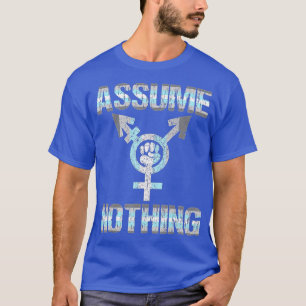 Camiseta ASSUME NOHING Demiboy Flag Bigender Pride