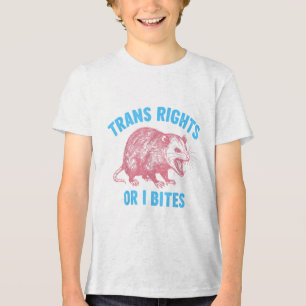 Camiseta Ativista Lgbtq Direitos Transgéneros De Igualdade 