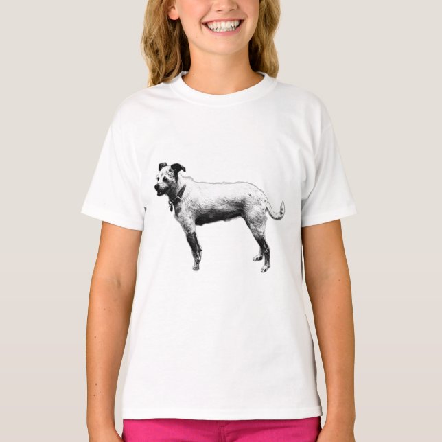 Camiseta Attentive Terrier Mix Graphic Tee (Frente)
