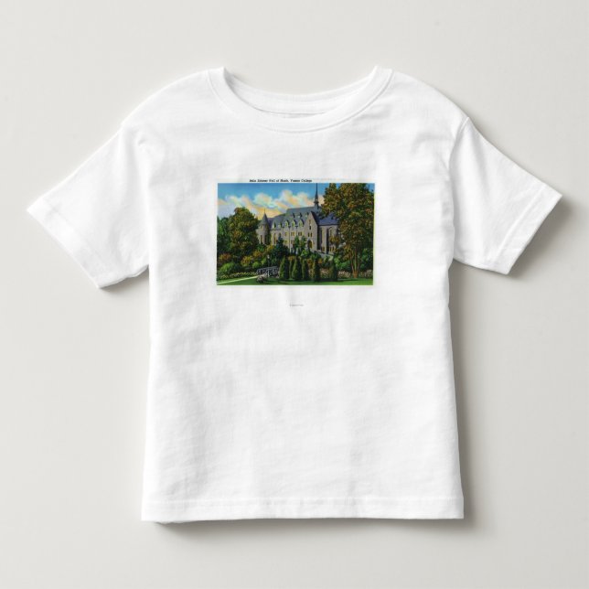 Camiseta Auditório de Skinner do Belle, faculdade de Vassar (Frente)