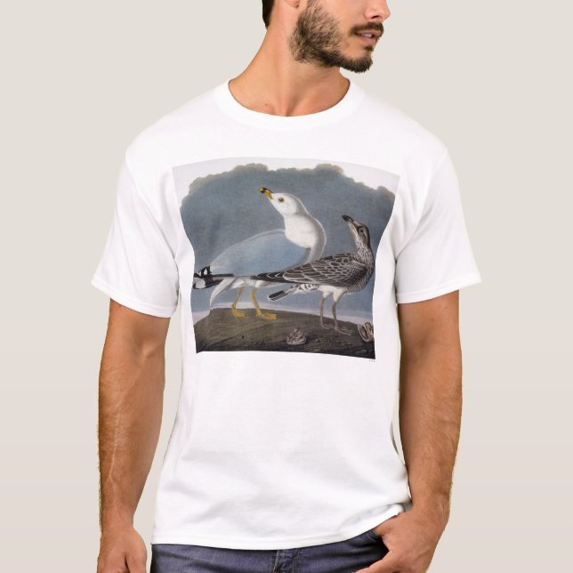 Camiseta Audubon: Gaivota Anel-Faturada (Frente)