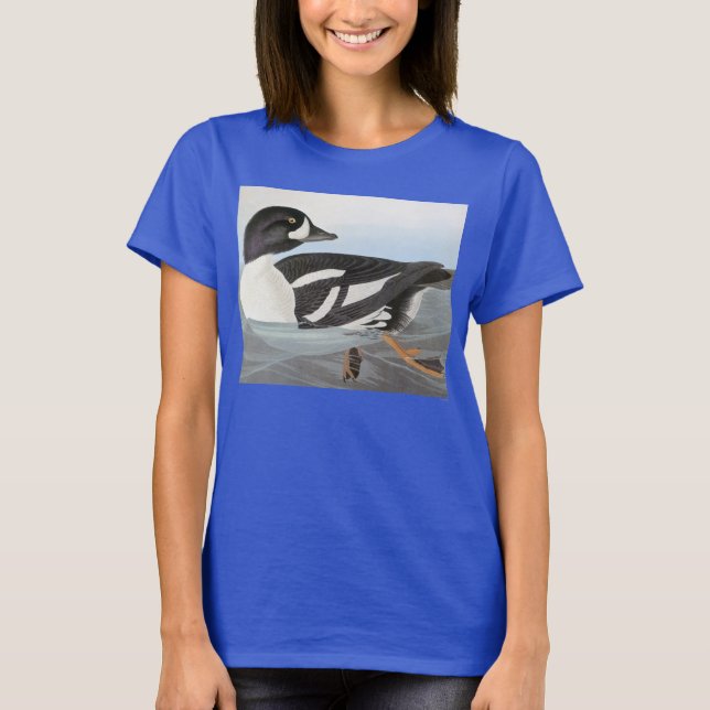Camiseta Audubon: Goldeneye de Barrow (Frente)