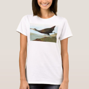 Camiseta Audubon: Limpkin