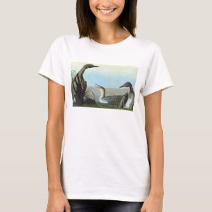 Camiseta Audubon: Mergulhão-do-norte ártico